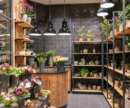 Dekoration und Blumen
Um Ihr Haus oder Ihren Garten je nach Jahreszeit oder Anlass zu verschönern und somit für eine passende Atmosphäre zu sorgen, erhalten Sie bei uns saisonale Blumen sowie Dekoration.
Egal zu welchem Anlass – ob Halloween, Weihnachten oder Ostern, bei uns finden Sie alles für ein rundum gelungenes Fest.