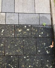 Der-Proficleaner Bild 3