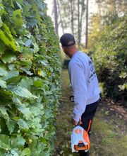 Baumdienst Sieber Bild 4