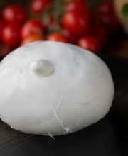 Gallery Professionale