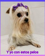 Y yo con estos pelos imagen 4