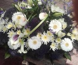 Les Fleurs De Calicie image 3