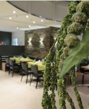 Comfor Hotel Bild 7