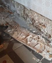 P2H Préservation Hygiène Habitat image 4