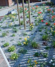 Wicke.Gärten Bild 14