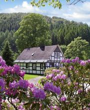 Hotel Gut Vorwald Bild 13