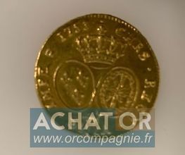 Achat Or Villenave image 4