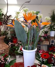 Sand'tia Creations image 2