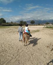 Escuela de Doma Clásica EV imagen 11