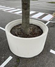 Eden Colors image 16