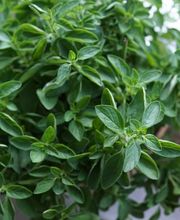 DONG 2000 TCM GmbH Bild 11