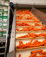 Gallery Professionale