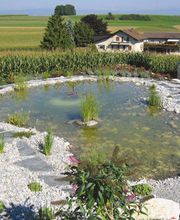 Kämpf Gartenbau AG Bild 4