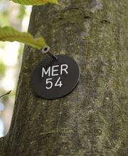 Jeder Bestattungsbaum hat eine individuelle Baumnummer und ist das Baumregister eingetragen.