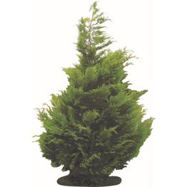 Trois-Chêne Jardins Sàrl