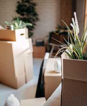 Die SEVIS Transport GmbH ist Ihr zuverlässiger Partner für stressfreie Umzüge mit Full-Service. Seit vielen Jahren unterstützen wir unsere Kunden in Murgenthal und Umgebung dabei, ihren Umzug problemlos und effizient zu gestalten.Unser umfassender Full-Service-Umzugsservice umfasst alle Aspekte Ihres Umzugs, angefangen von der Planung und Organisation bis hin zur Durchführung und dem Aufbau in Ihrem neuen Zuhause. Wir verstehen, dass ein Umzug eine stressige Zeit sein kann, und unser erfahrenes Team steht Ihnen zur Seite, um den Prozess so reibungslos wie möglich zu gestalten.