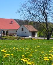 La Trottelée image 1