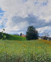 Die Topinambur Manufaktur Bild 5
