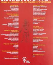 Meslin Céline image 4