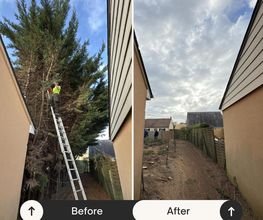 Clotaire les Espaces Verts image 2