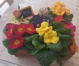 Le Paradis Fleuri image 6