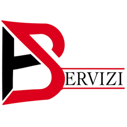 Bservizi Srls logo
