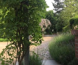Hajo Rumpf Garten- und Landschaftsbau GmbH Bild 4