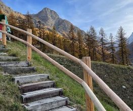 Antonier Chalet Services Sarl Bild 5