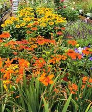 HELLWEG - Die Profi-Baumärkte Bonn Bild 2