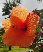 Espace Nature Hyperbio image 7