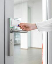 H.P. Martin - Kestenholz AG Bild 4