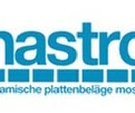 hastro ag Bild 4