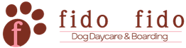 Fido Fido Dog Daycare & Boarding