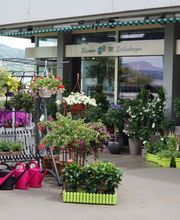 Blumen Eichenberger Horgen Bild 1