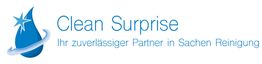Clean Surprise