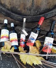 Clos des Cantons Bild 4