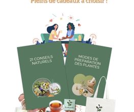 La Petite Plante image 16