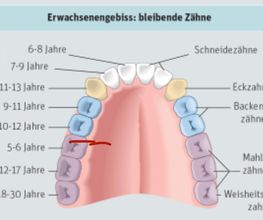 Dental Labor Bild 10