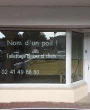 NOM D UN POIL image 5