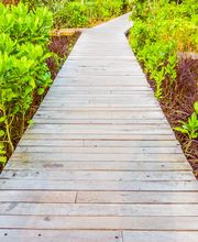 Lang Hauswartung Bild 8