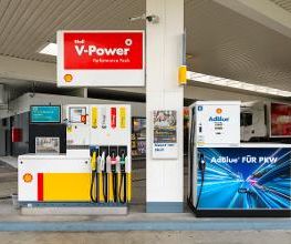 Shell Bild 2
