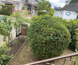 IMG_4589 (1).JPEG