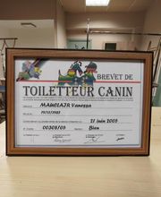 Aux Toutous Choyés image 1