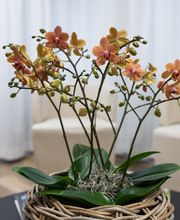 HerzGefässKlinik Bethanien Bild 3