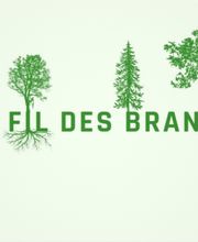 Haut Fil des branches image 15