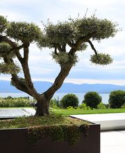 Dimensions Paysage SA Bild 9