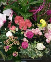 Jardinerie Villaverde image 13