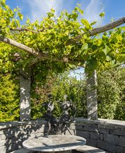 Popp Gartenbau AG Bild 6