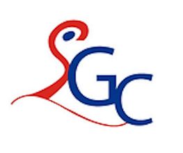 SGC Sécurité image 5