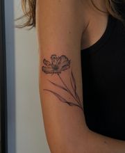 Nil Fineline imagen 6